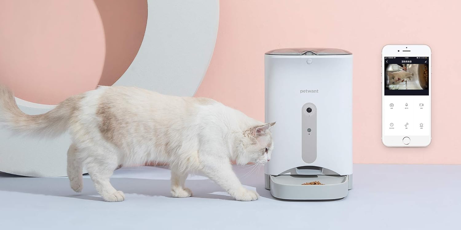 Cat approaching PETWANT F1-C Smart Pet Feeder with app view
