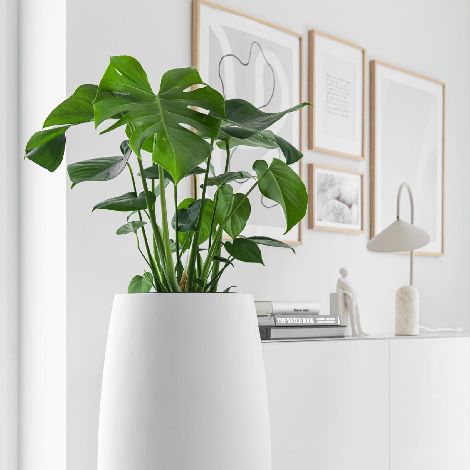 VIVANNO Pflanzkübel Bodenvase Fiberglas Magnum Weiß Matt - 80x23