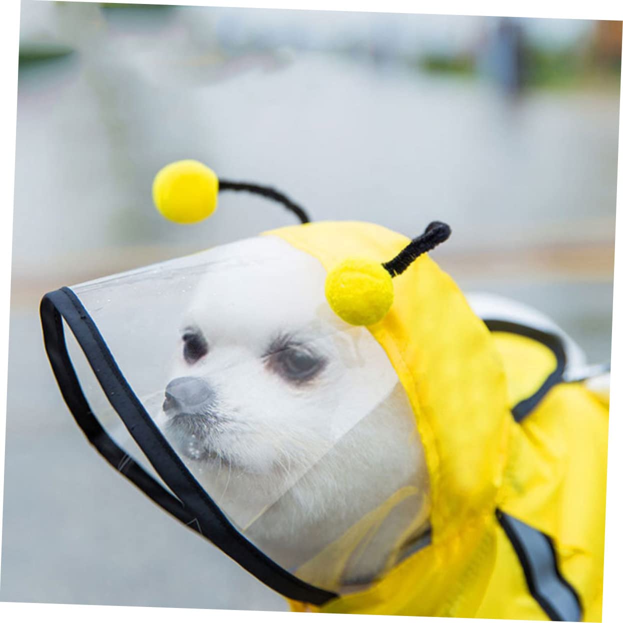 FRCOLOR 3pièces Manteau De Pluie pour Chien Abeille Veste à Capuche Imperméable pour Animaux De Compagnie Vêtements De Pluie Pratiques Et Stylés pour Chiens De Moyenne Et Petite