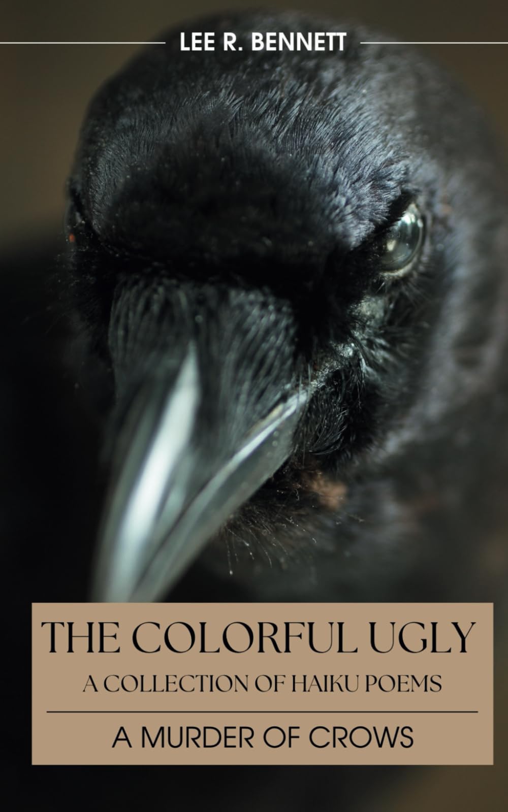 The Colorful Ugly | The Murder of Crows: A Collection of Poems