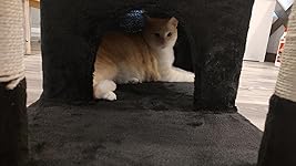 Review Image by April April