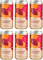 Kit 6X: Chá de Hibisco com Pêssego Gaseificado Brazô 269ml