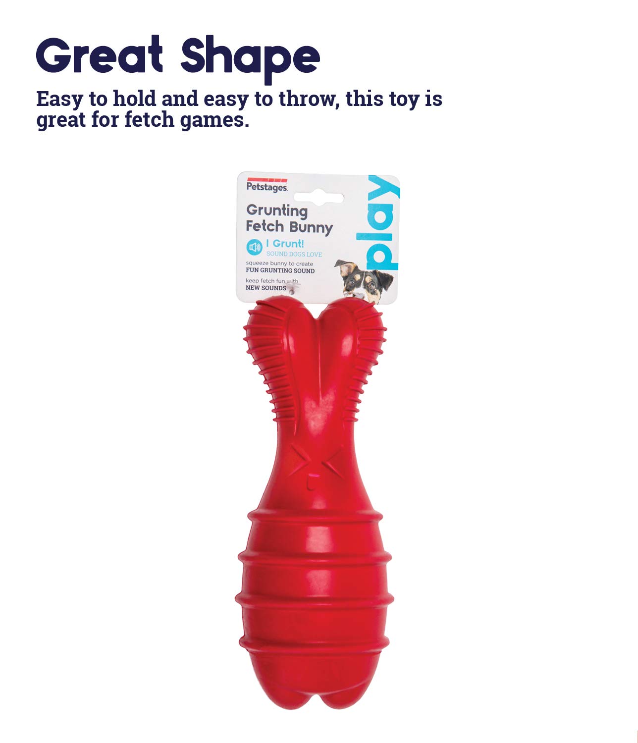 Why Does My Dog Keep Making Grunting Noises