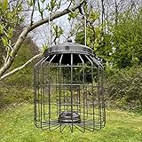 Selections Deluxe Heavy Duty Squirrel Proof Hanging Bird Suet Fat Ball Feeder Cage (Pack of 2) - Image 6
