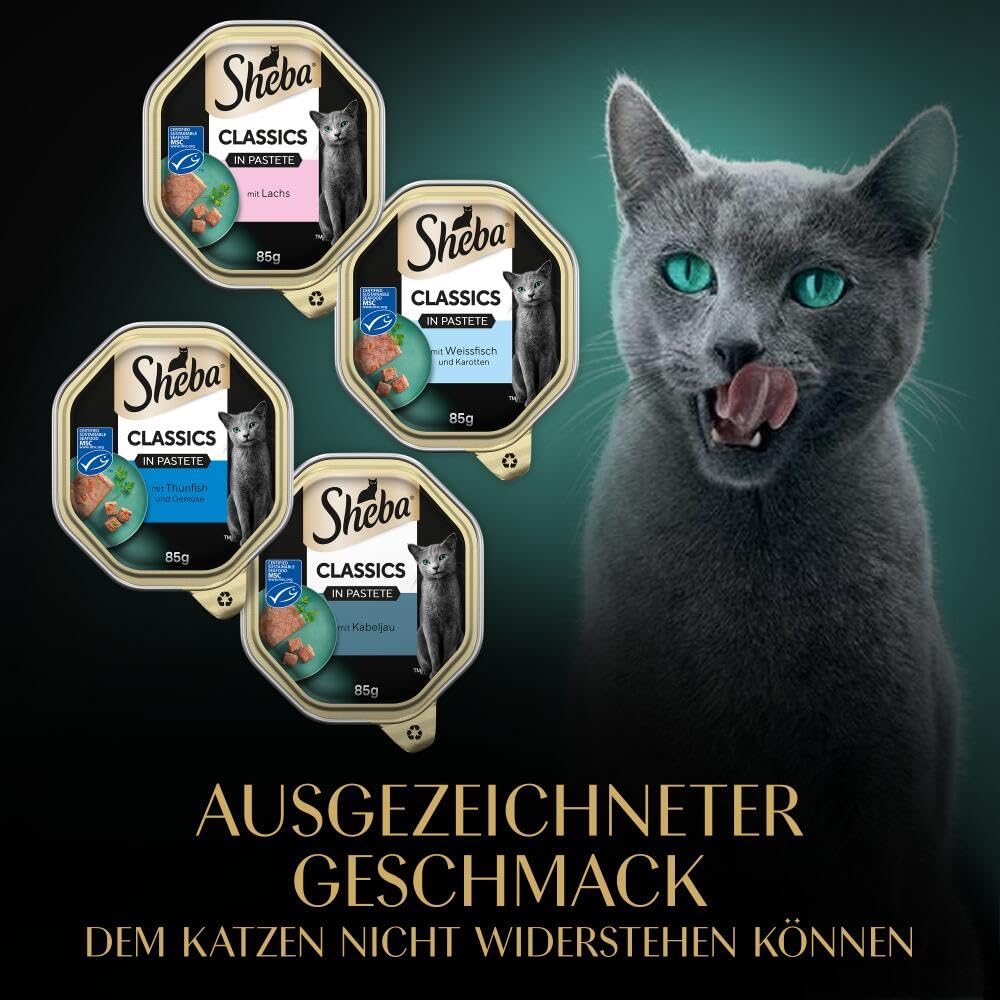 SHEBA Schale Nassfutter Multipack Classics in Pastete Fisch Variation MSC-zertifiziert 6 x 12 x 85g
