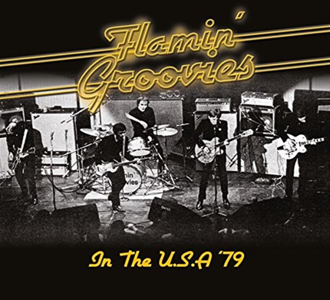 Flamin' Groovies In The U.s.a. '79 CD New 5291012203618