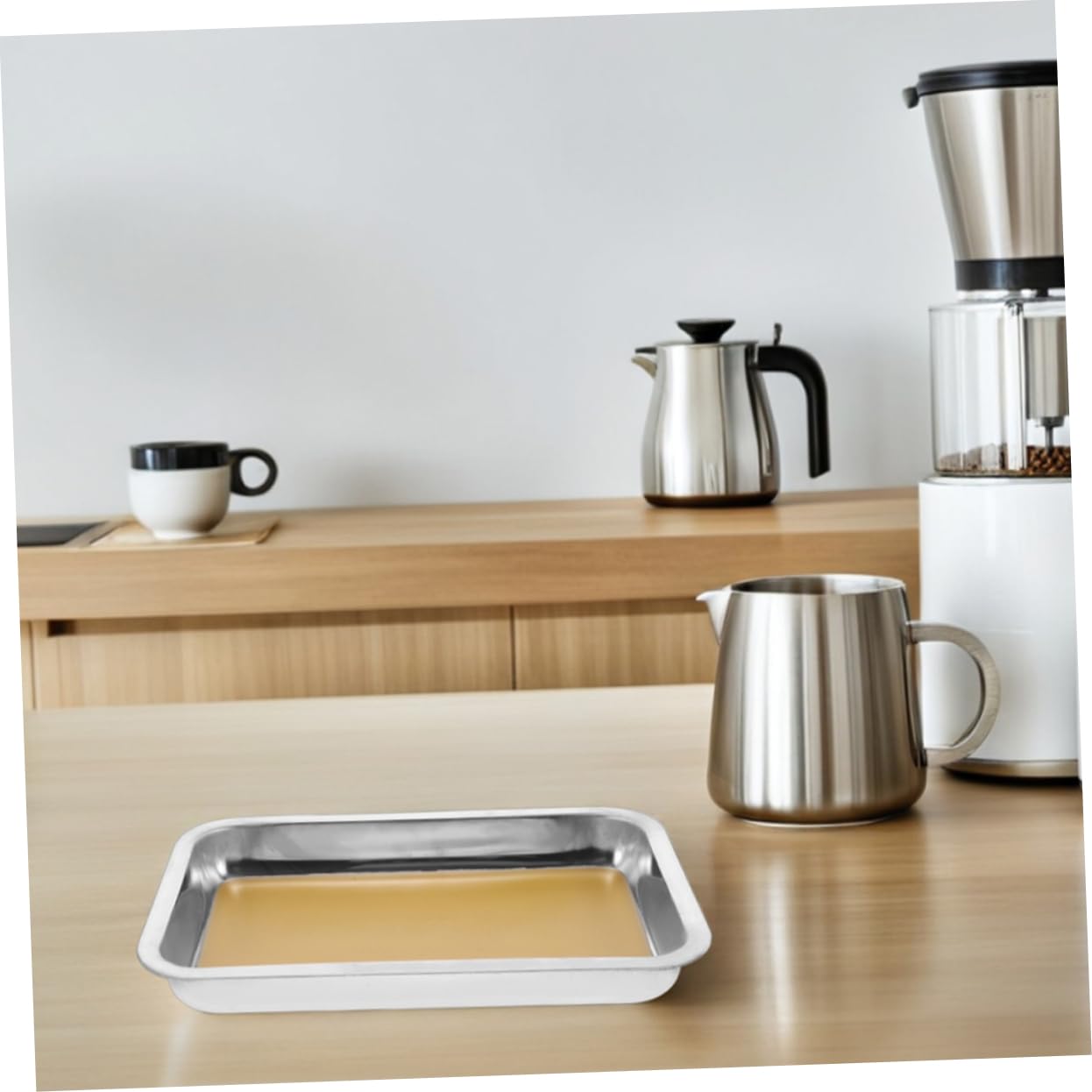 ABOOFAN 2 pezzi Vassoio da Dissezione Inox Strumento Professionale per Esperimenti Biologici per Scuole e Istituti Ricerca Facile da e Resistente Schizzi