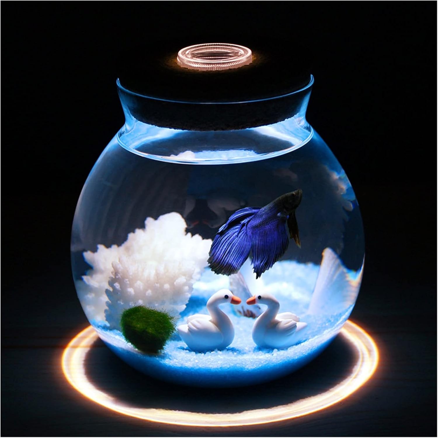 Fish Tank Mini Betta Fish Tank Ornament Aquarium Plants Decoration Background Pet Accessories Supplies Landscape Ecological Bottle Aquarium Tank (Color : Empty Cylinder, Size : 15X16CM)