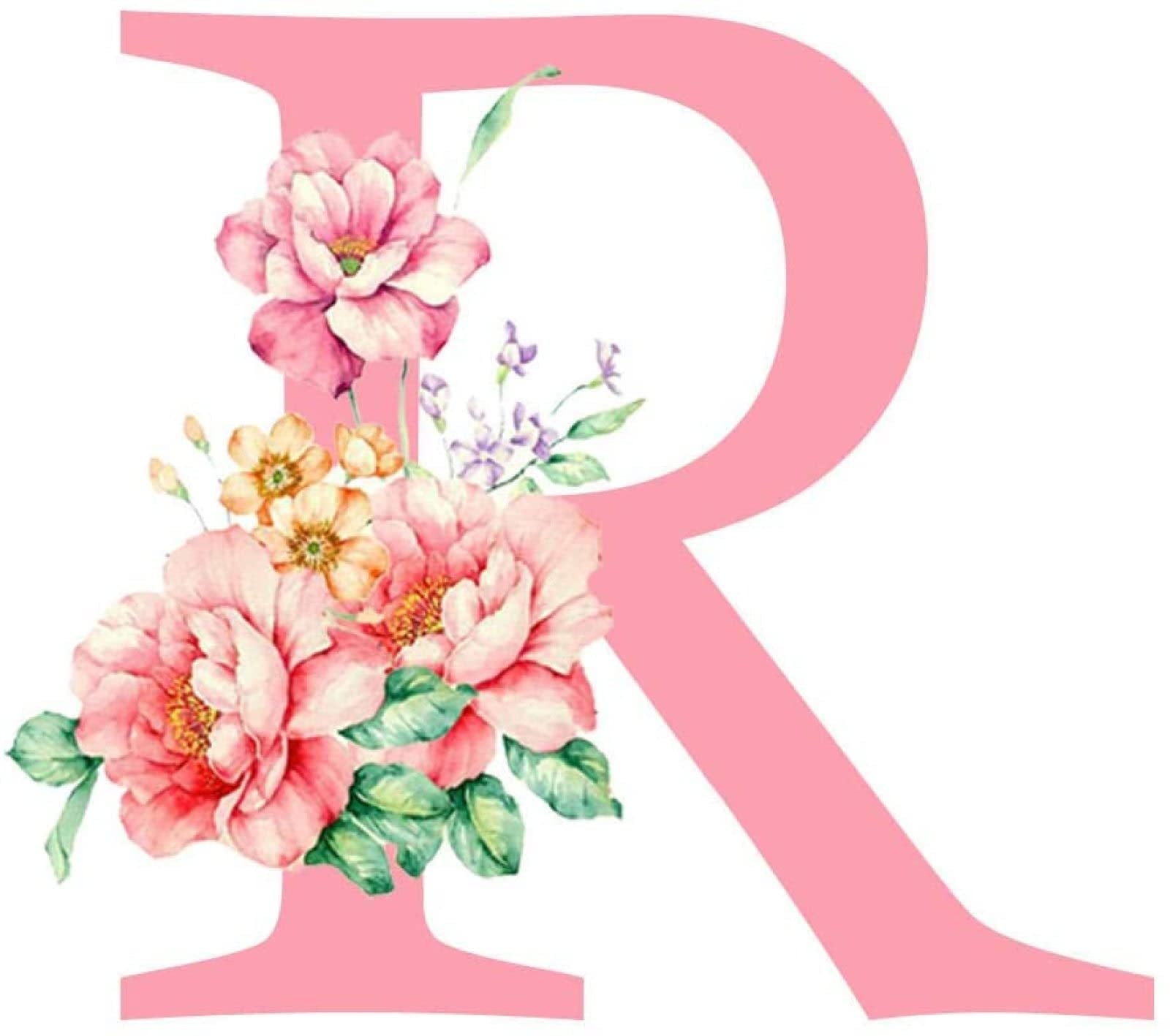 The Letter R In Pink Diamonds