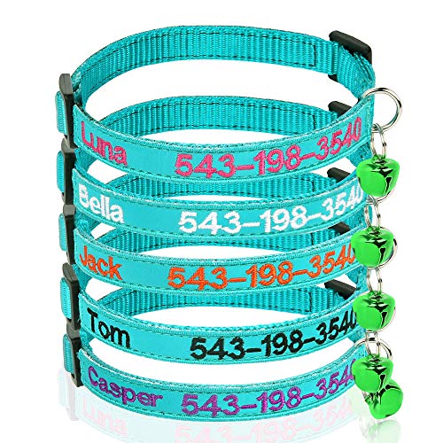 2026 Nuovo ID Cane Personalizzato Inciso Cucciolo Gattino Nome Anti Perso Ciondolo Etichetta Collare Personalizzato In Acciaio Inossidabile Accessori Animali Domestici 250207 Spedizione Gratua Da 19,95 € | DHgate - Foto 3