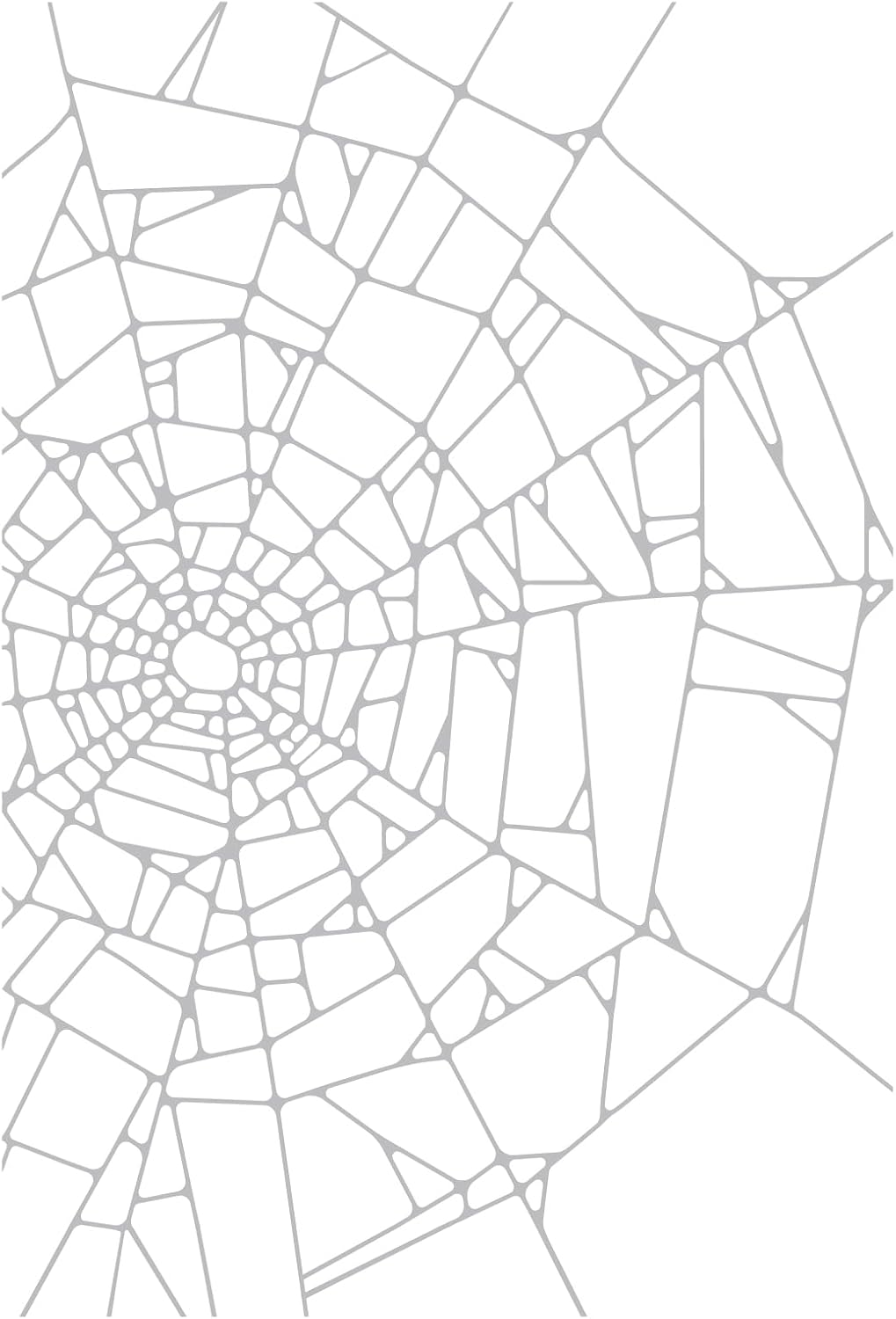 Sizzix 2D Embossing Folder, Large/A5, Vault Cobweb by Tim Holtz, 1 Piece