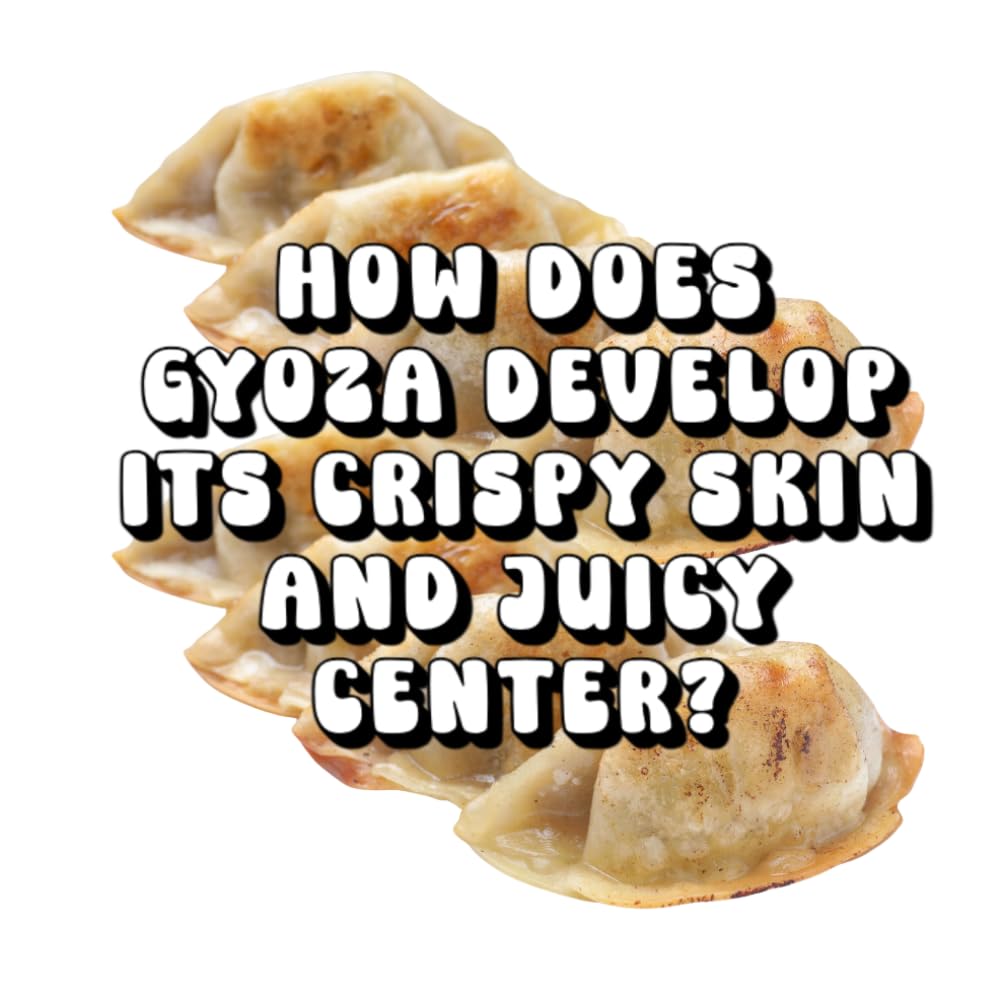 How Does Gyoza Develop Its Crispy Skin and Juicy Center?
