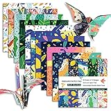 Origami Paper 6x6 Double Sided 50 Sheets 10 Colors origami kit Japanese Chiyo Square Craft Kits Easy