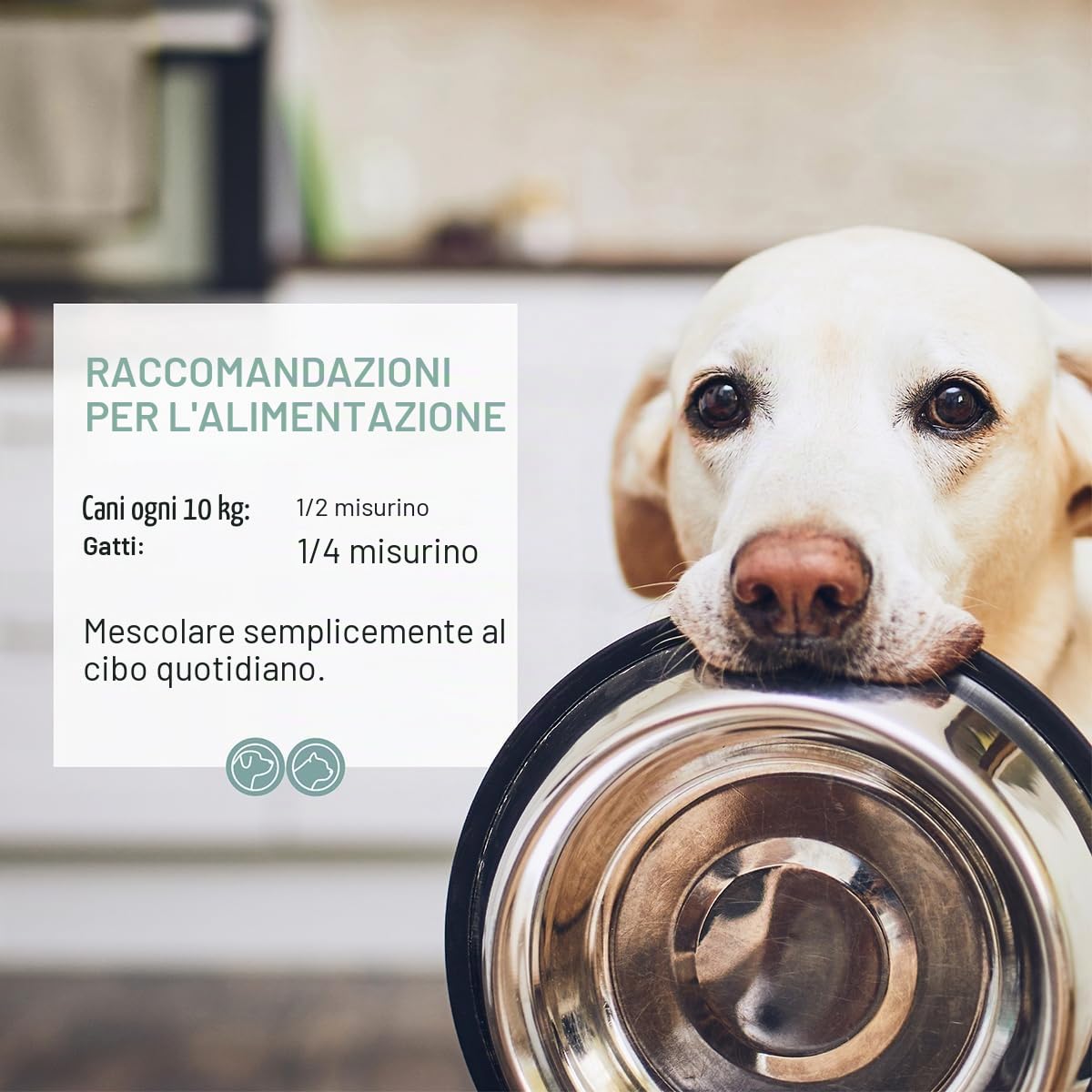 ReaVET Denta Vital - Cure dentali in polvere per cane e gatto, 150 g, contro tartaro e alito cattivo