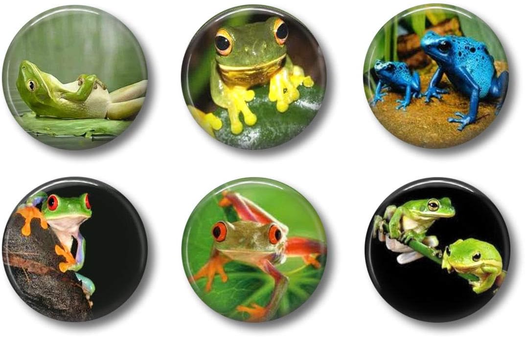 Cute Locker Magnets For Teens - Funny Frogs - Fun School Supplies - Whiteboard Office or Fridge - Gift Set