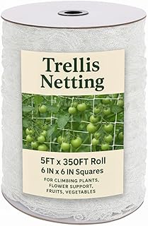 12 Indoor Trellis Ideas for Houseplants and Small Spaces 49 Houseables Trellis Netting, Hortonova Netting, Scrog Net, Trellis Net, N...