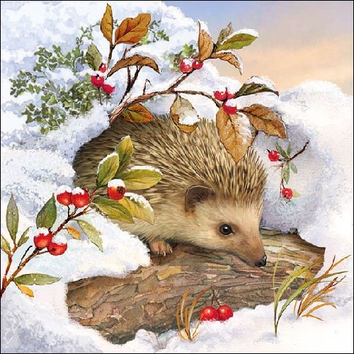 Ambiente Cena Tovaglioli/Partito ca.33x33 Hedgehog...