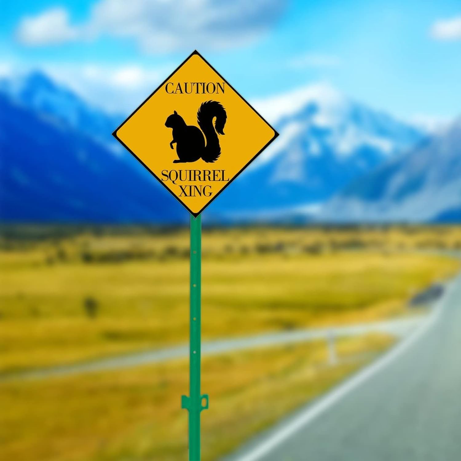 Amazon.com: Squirrel Xing Squirrel Crossing Sign Silhouette Crossing