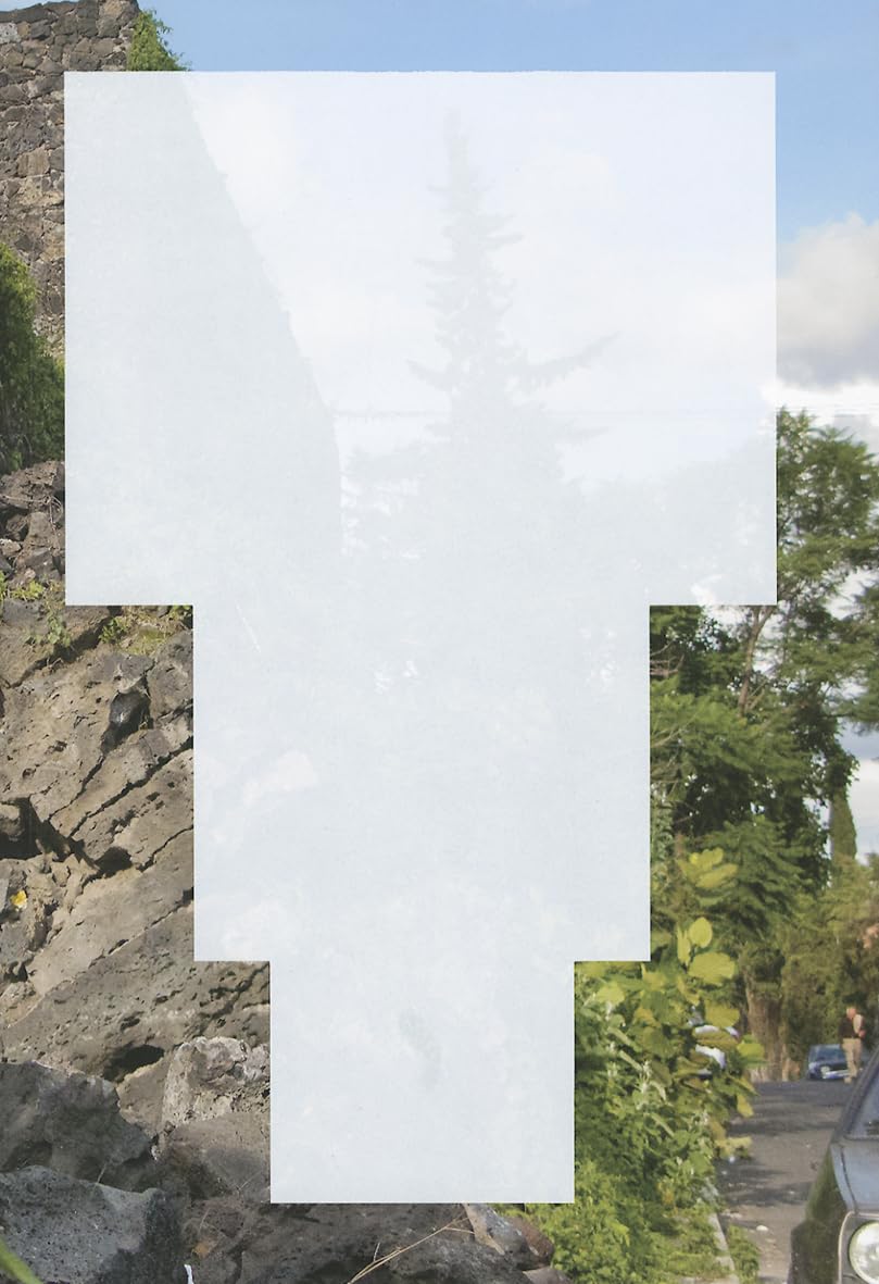 Abraham Cruzvillegas: The Autoconstrucción Suites: The Autoconstruccion Suites Paperback – Illustrated, 18 July 2013