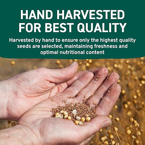 Vista 157 de SPICE TRAIN - Vainas de cardamomo verde orgánico de la India (3.53 onzas), de 5/16 pulgadas de largo, elaichi, rico en vitamina A y antioxidantes