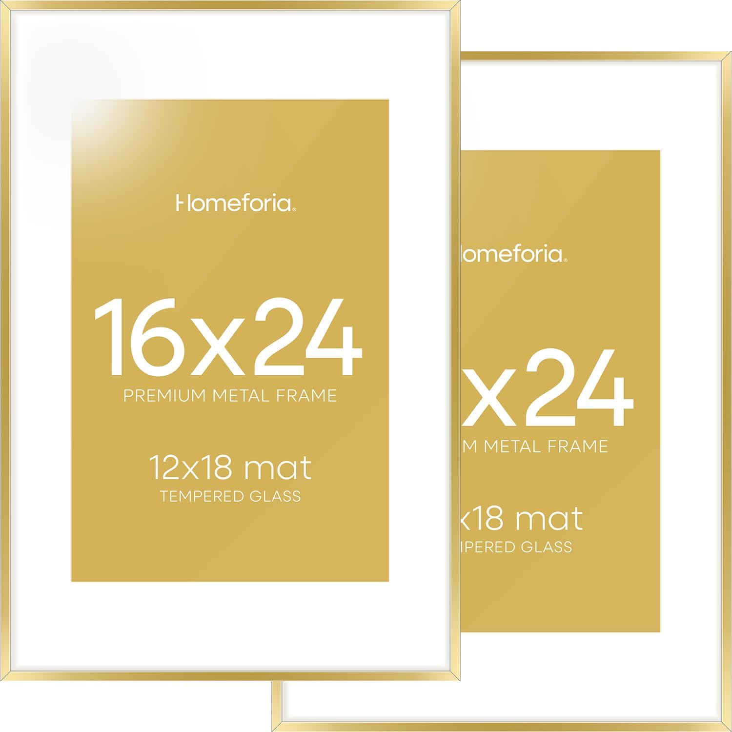Homeforia 16 x 24 Picture Frame with Mat, Gold