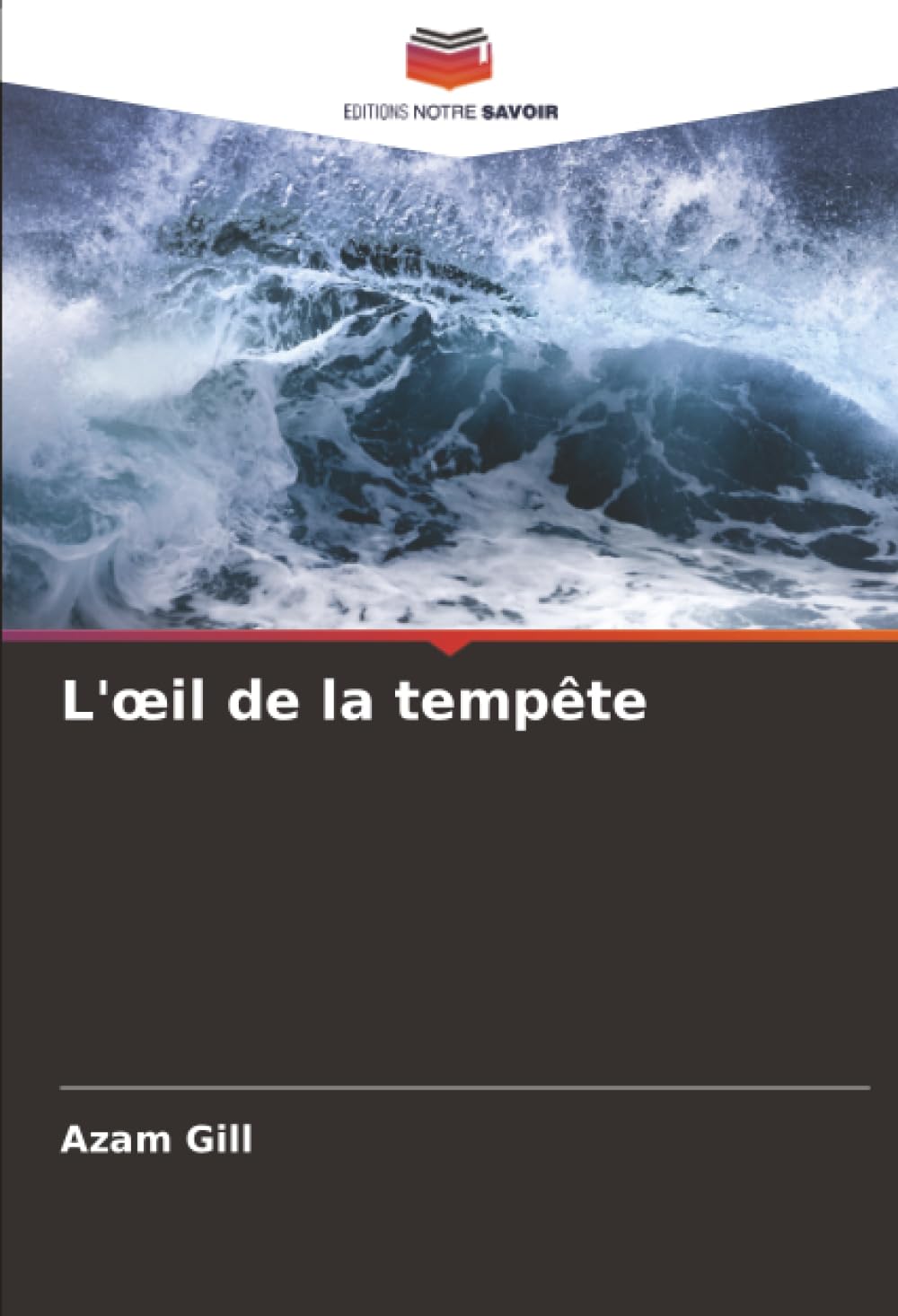 L'œil de la tempête