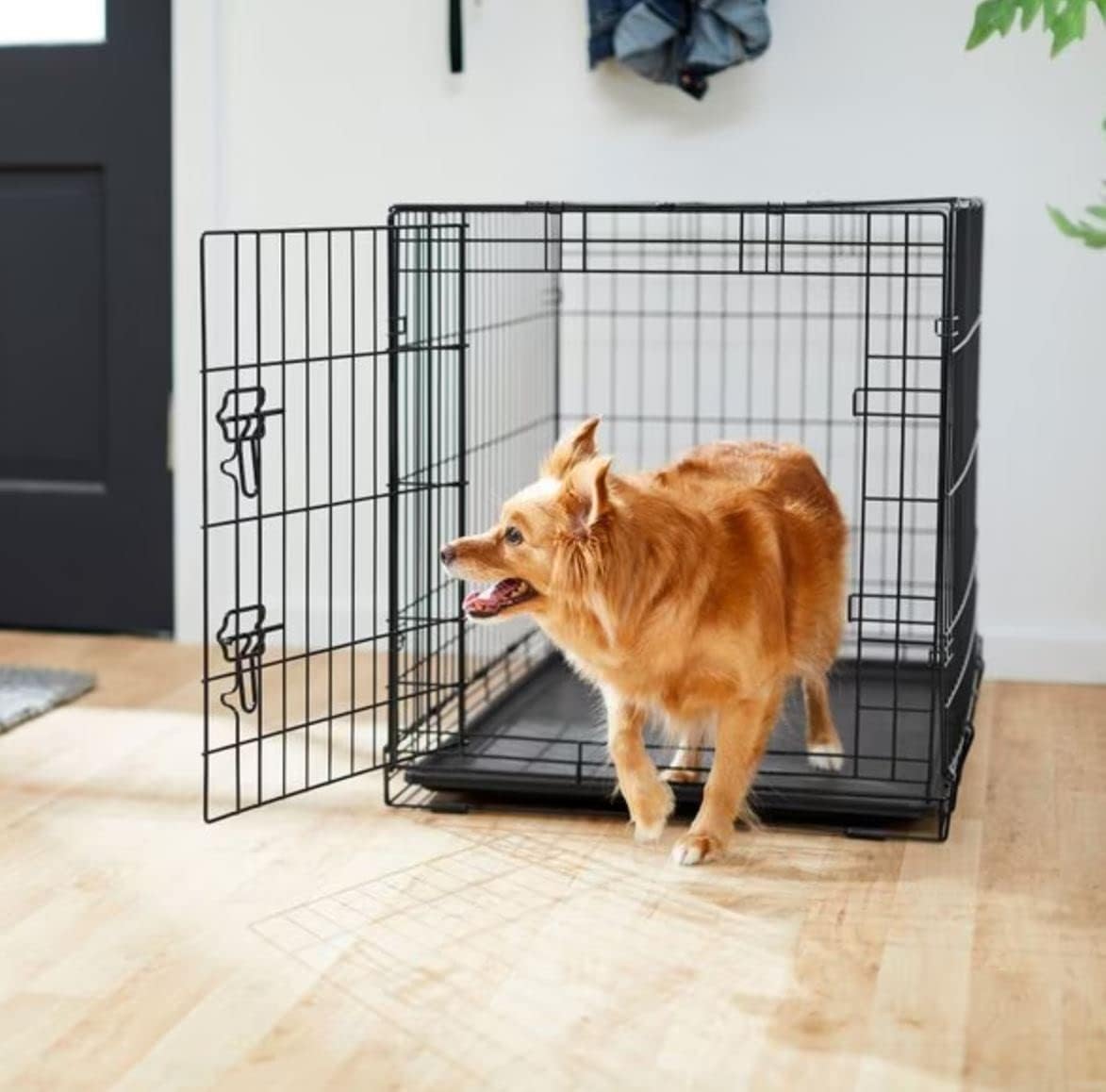 Dog Crate Puppy Cage Large 36 inch 91 x 57 x 63 cm Pre-assembled 2 Door Double Access Front Side Removable Plastic Tray Base Training Pet Travel Carrier Car Boot Foldable Sturdy Black Metal Wire Frame