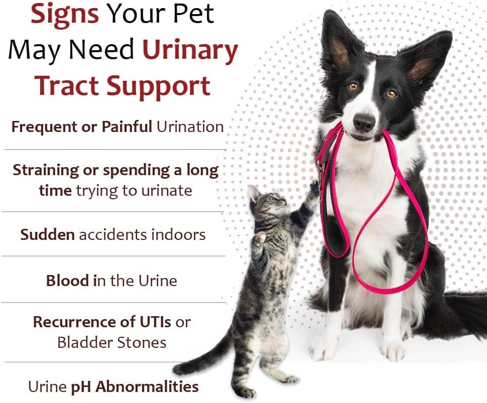 K-Plus Potassium Gluconate Renal Gel Plus Cranberry and EPA for Dogs and Cats - Veterinarian Approved Renal Supplement - Supports Potassium Balance -(3 Pack)