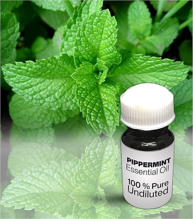 Huile essentielle menthe poivrée pure 500 ml aromathérapie et soin naturel
