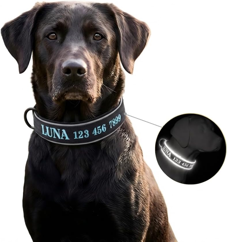 Personalized Reflective Tactical Dog Collar with Embroidered Name & Number, Heavy Duty Adjustable Military Nylon Pet Collar for Medium Large Dogs, Custom ID Collar for Training & Night Safety