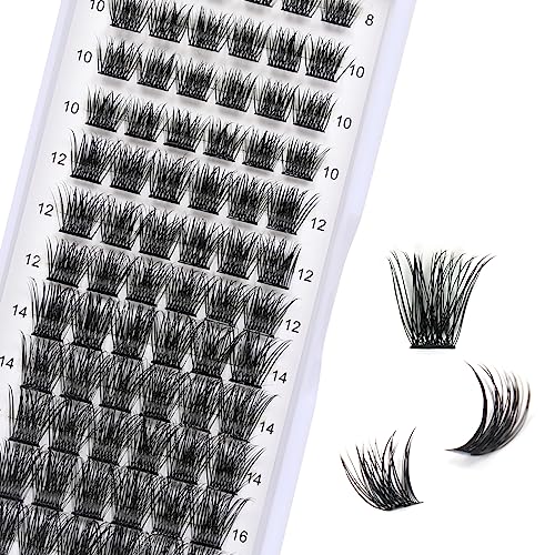 Individual Cluster Lashes, 72 PCS DIY Eyelash Extension,Natural Look Wispy Clusters Lashes 8-16MM D Curl Individual Lashes Extensions Reusable Individuals DIY at Home(Z2)