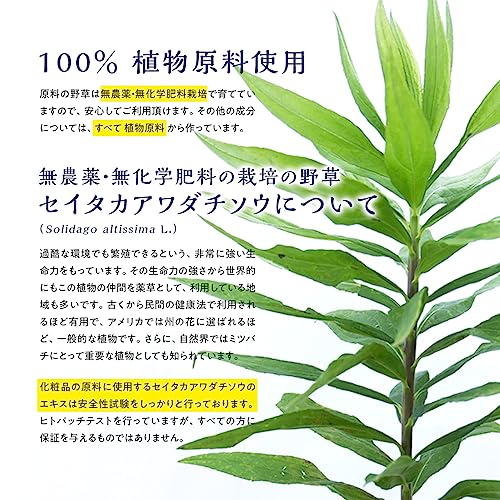 草々 入浴剤 バスソルト ゴールデンロッド 66回 エプソムソルト マグネシウム マグネシウムフレーク 植物エキス 計量スプーン付 保湿 塩素除去 無香料 無着色 無添加 天然 ギフト 日本製 にがり 美容 健康 化粧品 雑草 セイタカアワダチソウ 浴用化粧品 TL003 の商品画像 5