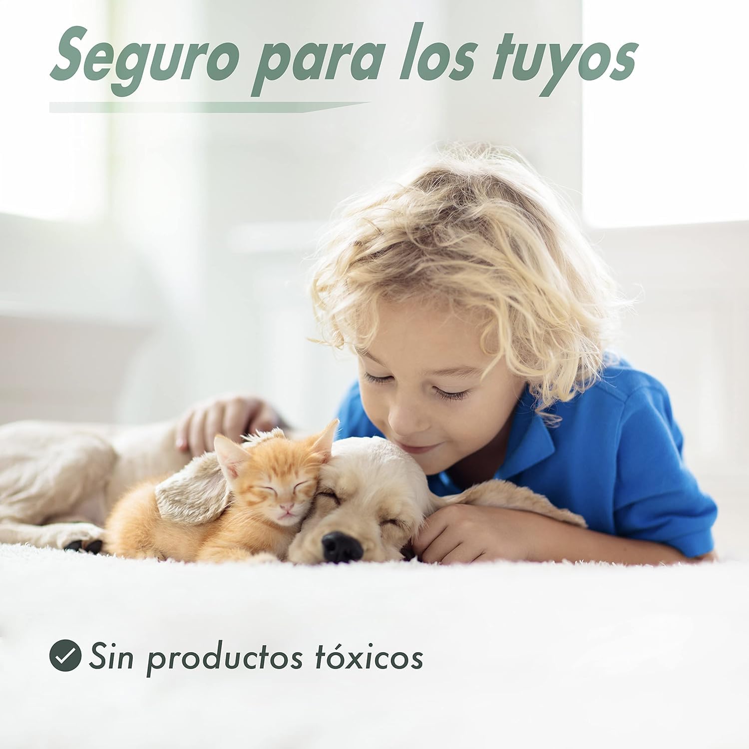 Brand Trampa para Ratas - Alambre galvanizado, Reutilizable y Segura para Interiores y Exteriores - Solución eficaz para Control de plagas de roedores - 1 Unidad