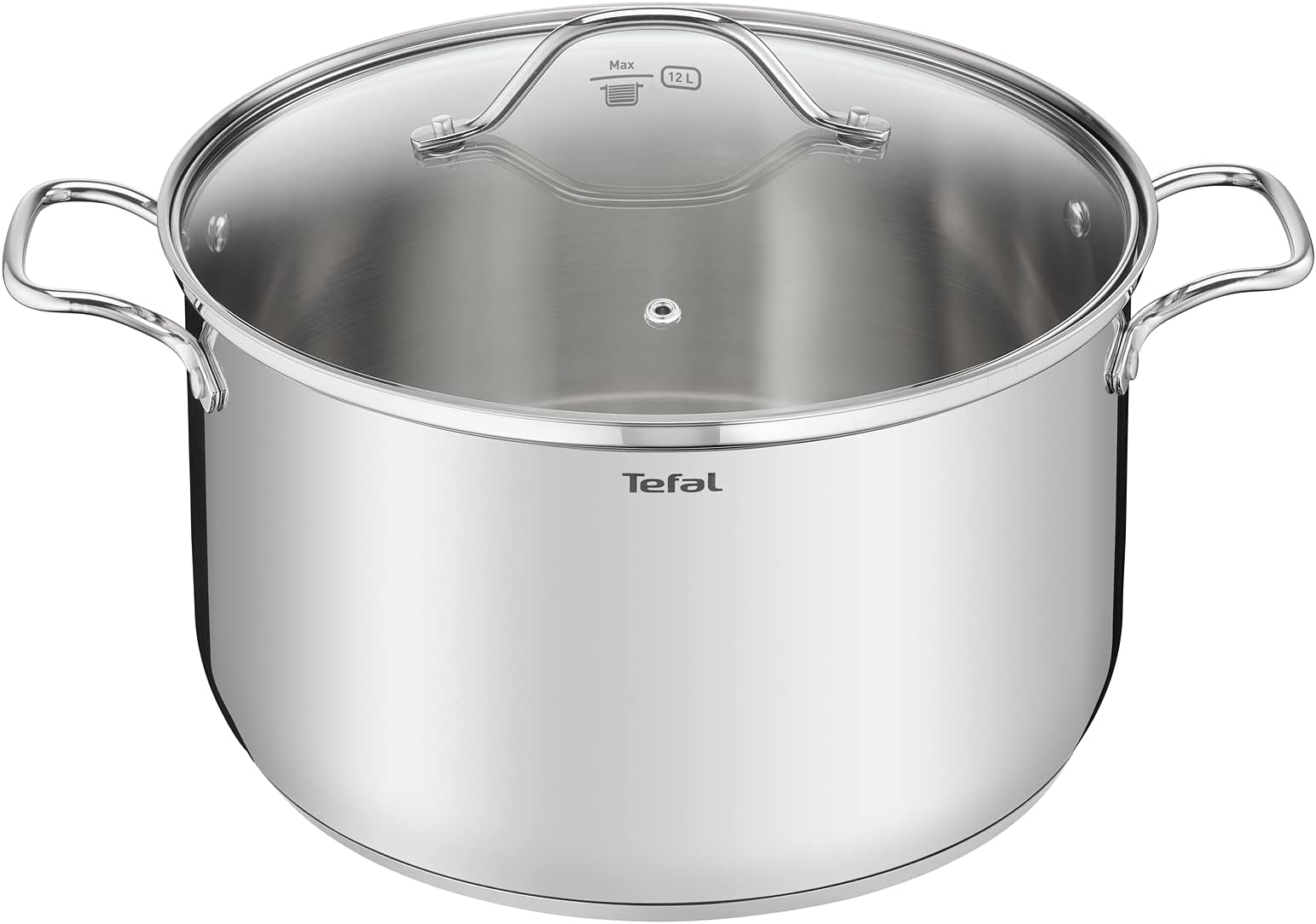 Tefal Intuition XL B8646904 Large Stainless Steel Cooking Pot 30 cm / 10 L, Induction, 5 Year Warranty, Premium 18/10 Stainless Steel, Size XL, Sturdy Handles, Glass Lid