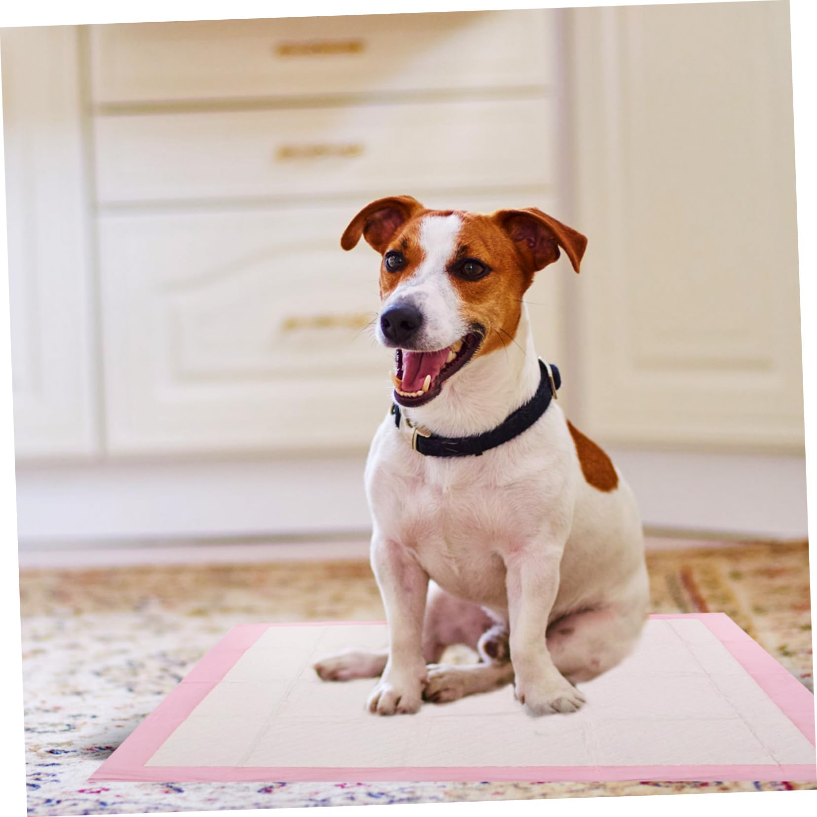 Traversina Assorbente per Cani Rosa, 40 Pezzi, 60x60 Cm | Tessuto Non Tessuto, Uso Indoor e Outdoor, per Cuccioli e Cani Anziani