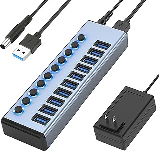 Powered USB Hub 3.0, VIENON 10-Port Aluminum USB Hub Splitter (Support Smart Charging + Faster Data Transfer) with Individual LED On/Off Switches for Mac, PC, Laptop