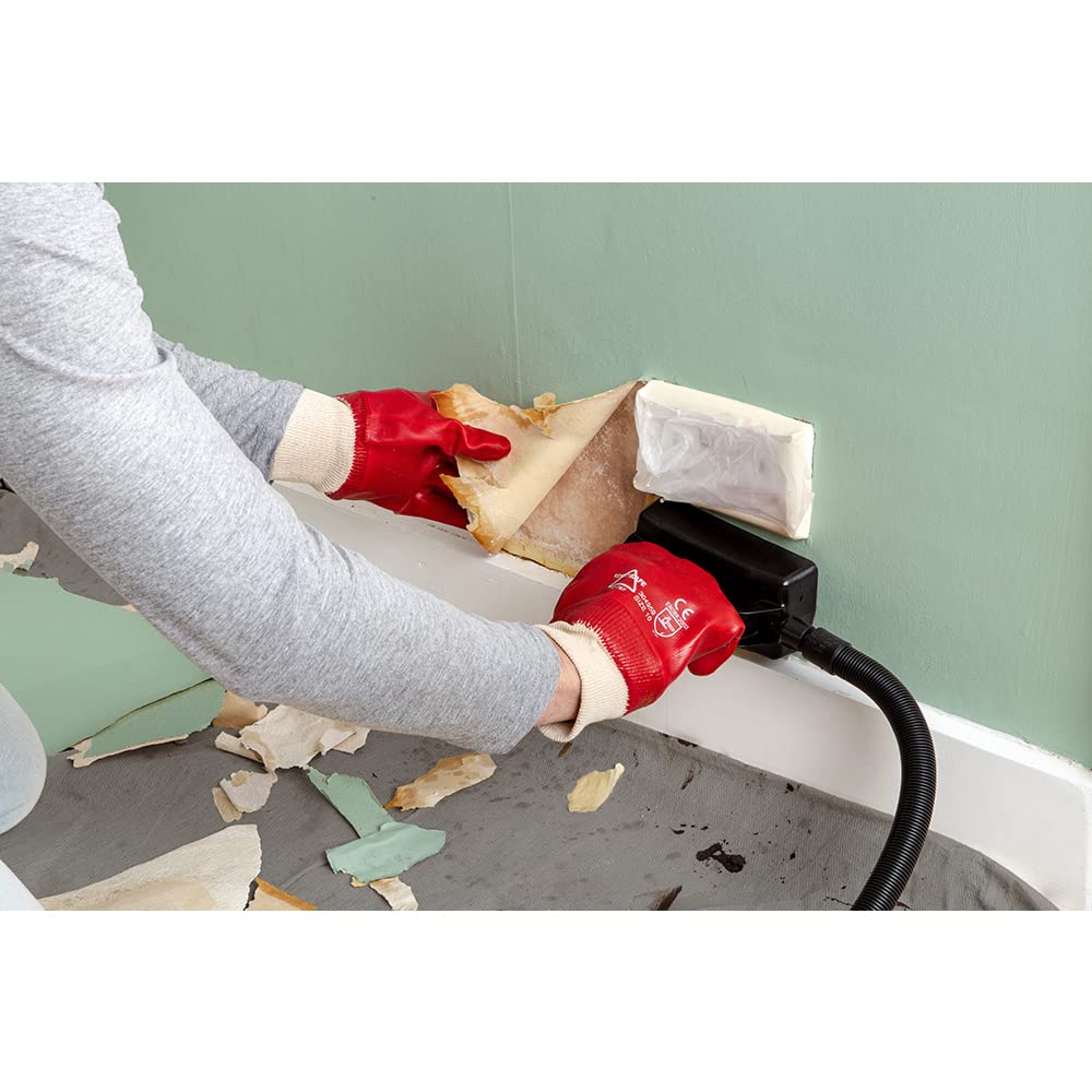 WAGNER unità staccaparati a vapore SteamForce Plus, contenitore 4 l, tempo di vapore max. 70 min, tubo flessibile 3,7 m, piastra e spatola per vapore aggiuntiva, 2.000 W, 230 V