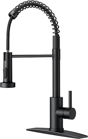 FORIOUS Black Kitchen Faucet with Pull Down Sprayer