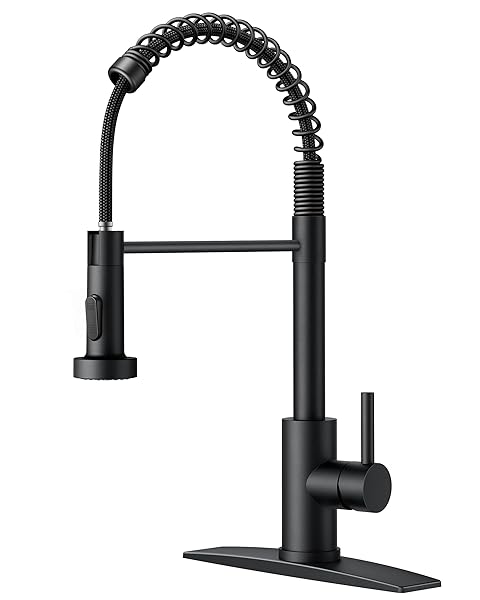 FORIOUS Black Kitchen Faucet with Pull Down Sprayer, Stainless Steel Commercial Single Handle Classic Spring Pull Out Kitchen Sink Faucet for Pot Filler, Farmhouse Camper Bar Laundry Room