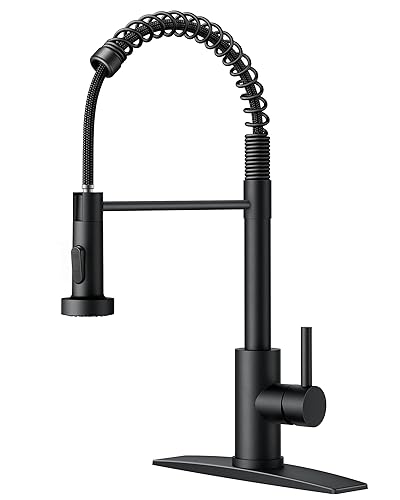 FORIOUS Black Kitchen Faucet with Pull Down Sprayer, Stainless Steel Commercial Single Handle Classic Spring Pull Out Kitchen Sink Faucet for Pot Filler, Farmhouse Camper Bar Laundry Room