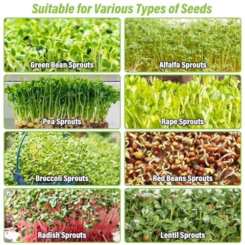 Riare Kit de germinação de sementes de aço inoxidável - Bandejas de cultivo de microgreens empilháve