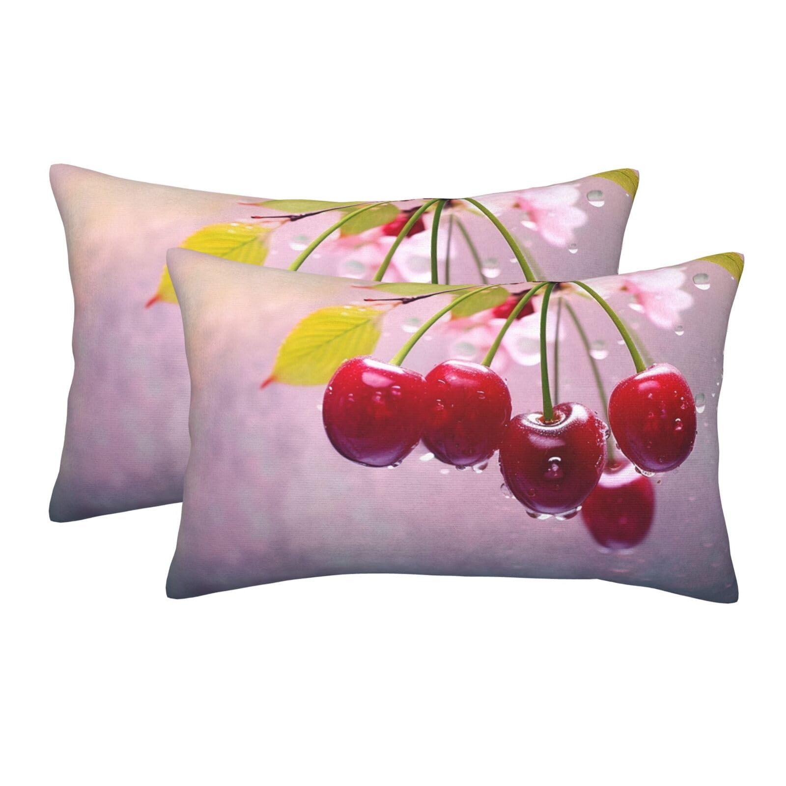 2 Pack Standard Size Pillow Cases for Hair and Skin Soft Breathable Pillow Case Covers with Hidden Zipper Cherry Pillowcase 14"x20" Pillow Cover for Sleeping Gift