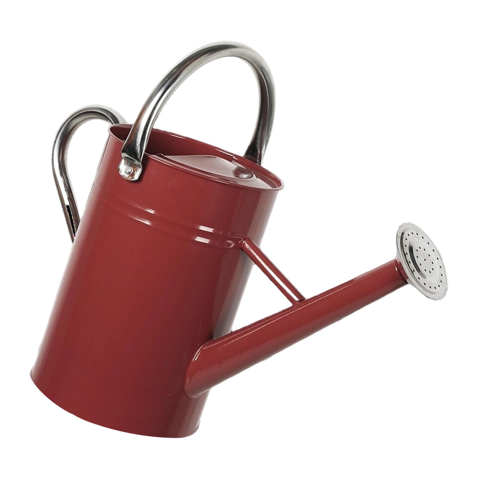 Robuste 5-Liter Gießkanne aus Stahl mit ergonomischem und Verstellbarer Düse für die Pflanzenpflege Garten Retro Stil