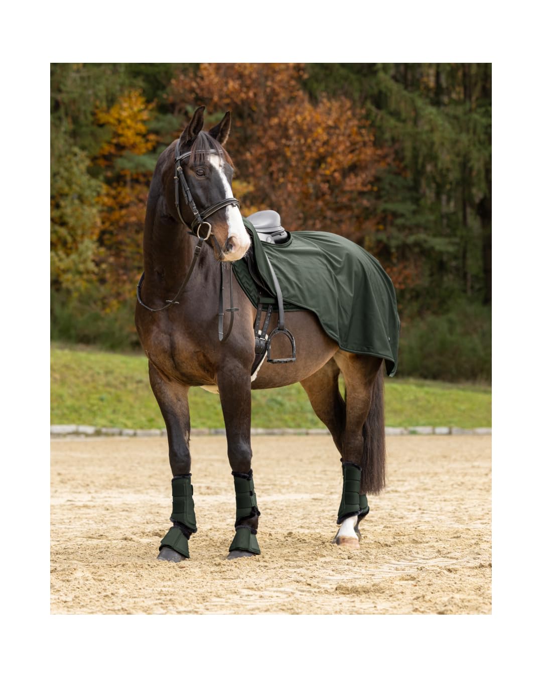 4Horses Ausreitdecke Livorno, wärmende Nierendecke aus softshellähnlichem Material, Fleece-Lining, Schutz für kühle Ausritte