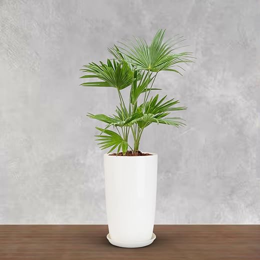 BonKaso 18 inch Solid White Flower Pot