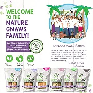   Nature-Gnaws-Beef-Jerky-Sticks-for-Dogs-Single-Ingredient-Beef-Gullet-Chew-Treats-Simple-Natural-Delicious-Dog-Chews-Training-Reward-5-6-Inch-15-Count