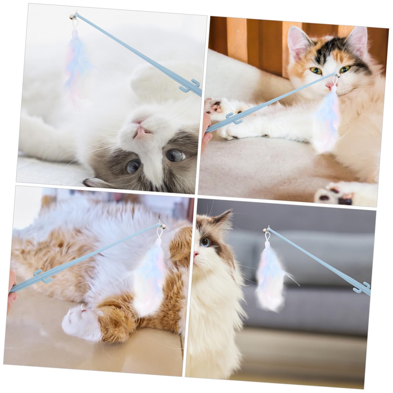 INOOMP 5 Sets Katzenspielzeug Interaktives Katzenspielzeug Mit Federn Und Glöckchen Angelrute Für Katzen Im Innenbereich Lustiges Spielzeug Zum Necken 4 Stück X 5