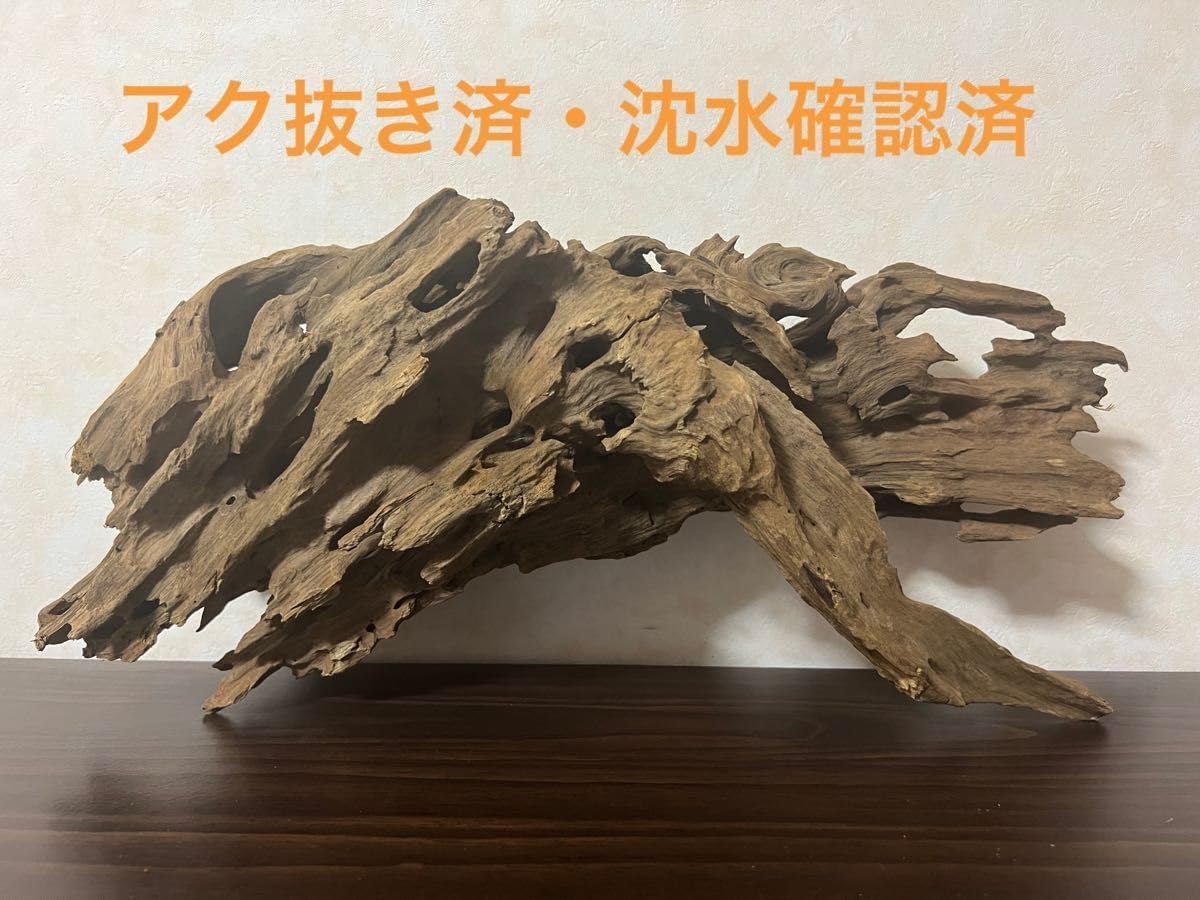 県重要文化財 林 正太郎 特別作 淡黒 志野焼 大皿 真作 径59cm