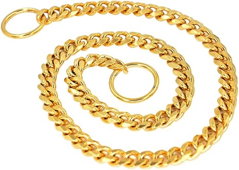 best dog choke collar