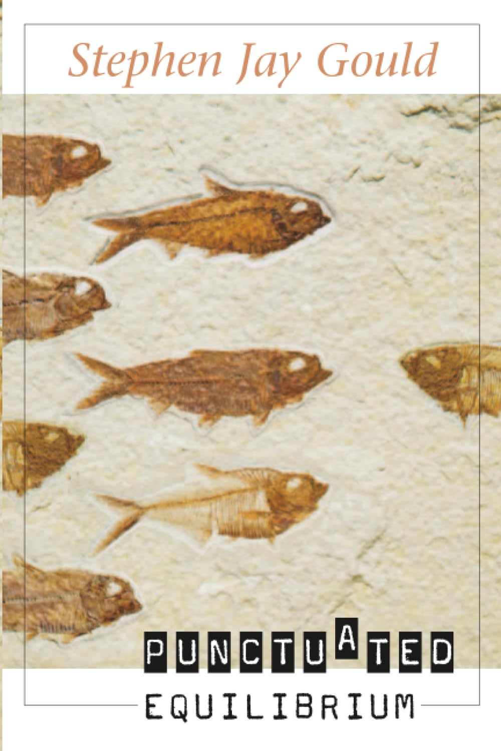 Punctuated Equilibrium by Stephen Jay Gould PAPERBACK 9780674024441